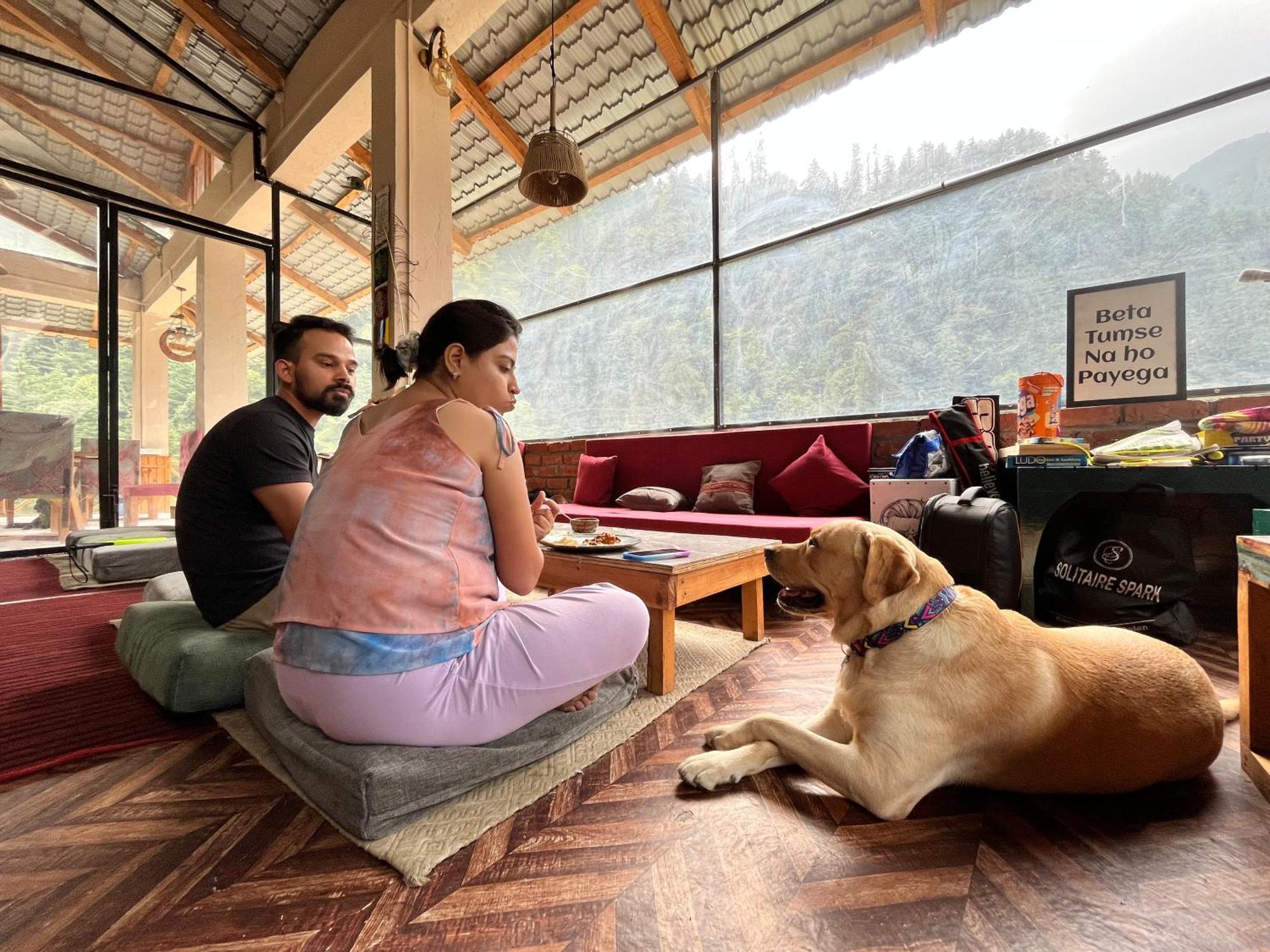 Thepahadians Food & Stay Jibhi Exterior foto